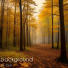 Background - Ozer