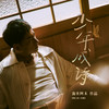 少年成诗 (DJ彭锐版) - 海来阿木