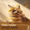 After Dark - Simon Templar