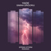 Spring Storm (EZEK, Messier, No StraiN Remix) - Simina Grigoriu&YAIDE&Ezek&Messier&No StraiN