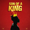 Son of a King - Dells Tmx&Holy Drill