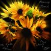 Morning (feat. Derson) (Remix) - TK Kxda&Derson