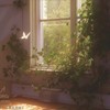 a little story（小故事氛围版） - win臣