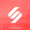 Lost in the Sun (feat. Ruth Royall) (Simon Doty Night Mix) - Because Of Art&Ruth Royall