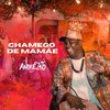 Chamego de Mamãe - Andrezão