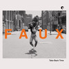 Take Back Time - Faux