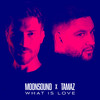 What is Love - MoonSound&Tamaz