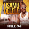 Usamudelele - Chile 84