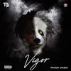 vigor - Panda Muzic