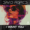 I Want You - David Roped