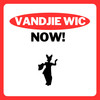 Now - Vandjie Wic