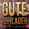 Ich werde lächeln wenn du gehst - DJ Schlager