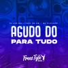 Agudo do para Tudo (Explicit) - DJ LKS 067&MC GW&MC FLAVINHO