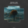 Indifferent World (Original Mix) - Serval (AR)