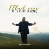 Fllad vere - Mentor Haziri