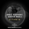 Vitamin (Radio Edit) - Indie Elephant&Erika Krall