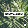 Minimal Drops (Cesar D' Constanzzo Remix) - Thomas Calcatelli