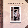 Should've Been A Cowboy - Toby Keith