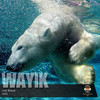 Artic - Wayik