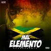MELÔ DE MAL ELEMENTO vs INTERNACIONAL (Reggae Funk Remix) - Igor Producer