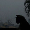 Rainy Day - VLWXYSMILE