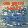 You Don't Look at a Tidal Wave, a Tidal Wave Looks at You - Joe Gideon&The Shark