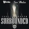 Surrounded (其他|Code: Pandorum Remix) - Code: Pandorum&EH!DE&Whales