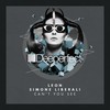 Can't You See (Original Mix) - Simone Liberali&Leon (Italy)