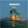 热烈的少年 - 辛禄乐队