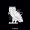 Godspeed (Remix) - dvsn&Frank Ocean