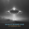 StarGazing (Explicit) - Wavy Kamp Fee