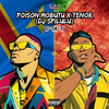 TI-TA-TI (Explicit) - Poison Mobutu&TÉNOR&DJ Spilulu