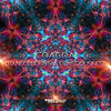 Everything Is Conscious - CoaGoa