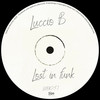 Lost In Funk - Luccio B