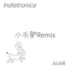 小蓓蕾组合-小毛驴 (Avar Remix|Avar remix) - Avar