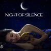 Night of Silence - DJ.O_WORTHY