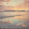 Perspectives (feat. Meghan Ali) (其他) - DKDM