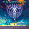 In Pursuit Of Light - PolyPlex