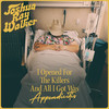 Play You A Song (Live) - Joshua Ray Walker