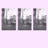 2703 - Lurre