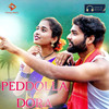 Peddolla Dora - Ramsagar Laxman&Lavanya