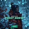 First Snow - Sergej Bujko