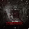 SCHIZOPHRENIA (feat. AYUNGREB3L) (Explicit) - EL IVAN&AYUNGREB3L