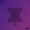 Remedy (EH!DE Remix) - EH!DE&Virtual Riot&Leah Culver