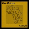 I'm African - Wanduni