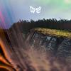 Newone - Malvae