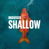 Shallow - Brickfisch