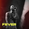 Fever - Lion Messager&m.c.dub