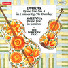 I. Lento maestoso - Borodin Trio&Antonín Dvorák
