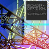 Superficial Love - Endanger&DSTRTD SGNL